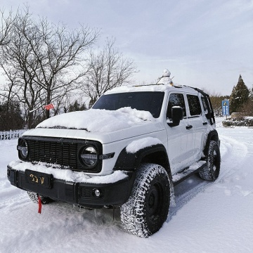 2024 Great Wall Tank 300: 2.0T Hybrid Gasoline Off-road SUV with Large Space