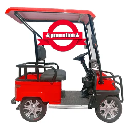 Isv Vehicle Electrique 2024: Mini Electric Golf Cart
