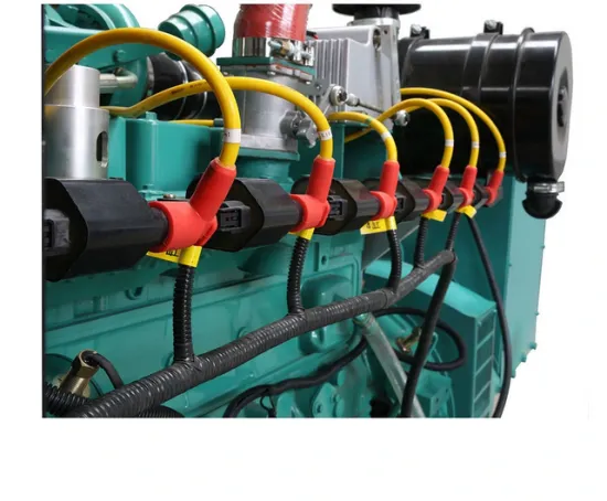 80KW Natural Gas Generator Set with Cummins Engine