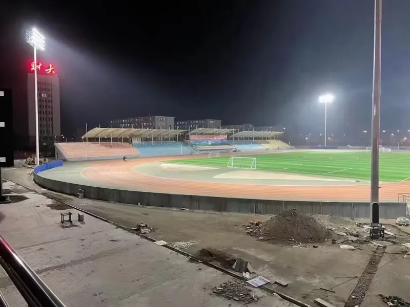 Solar-Powered LED Split-Type Street Light