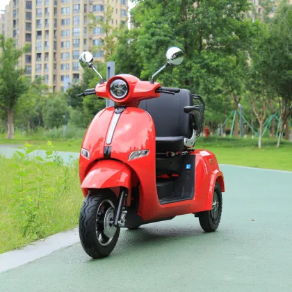 Affordable Customized Handicapped Scooters, Electric Tricycles, and Mobility Kick Mopeds for Adults