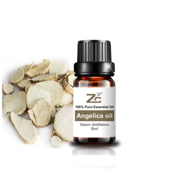 Natural Angelica Root Oil 100% pure