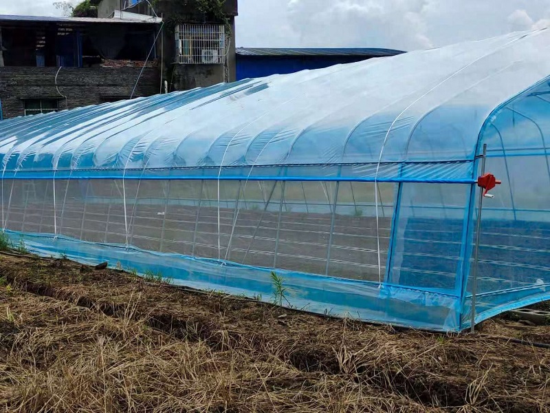 Qingcheng Agriculture's Single-Unit Arched Greenhouse Project in Hechuan Successfully Launched, Boosting the Quality and Efficiency of Suburban Facility Agriculture