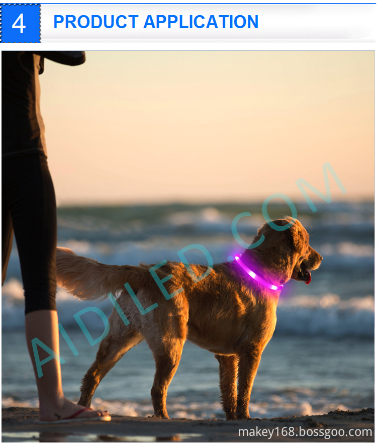 Dog Collars That Light Up