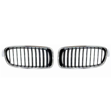 Front Grille for BMW 620/630/640 G32 2017-2020 (51137412422/51137412421)