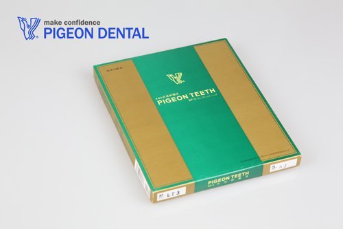 PIGEON SP-3 LT1 three layers anterior false teeth|denta equipment