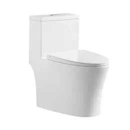 Modern design sanitary ware ceramic washdown one piece rimless toilet bowl with design patent