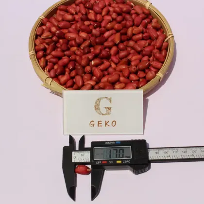 GEKO Food Cheap Wholesale Optimum Nutrition Peanuts for Peanut Oil