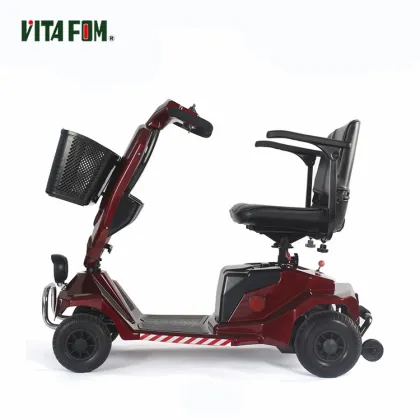 Compact 3-Wheel Electric Motorcycle & Vehicle Search