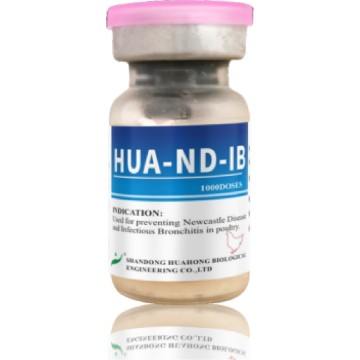 Vaccin viu liofilizat ND/IB La Sota+H120