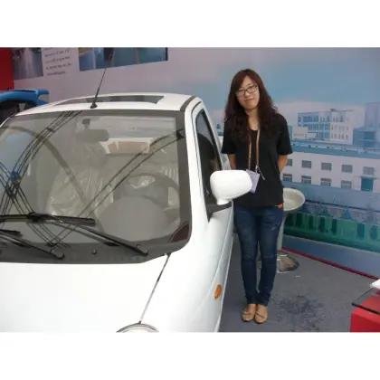 New Energy Car with Big Climbing Power