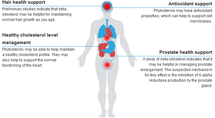 beta-Sitosterol supplier