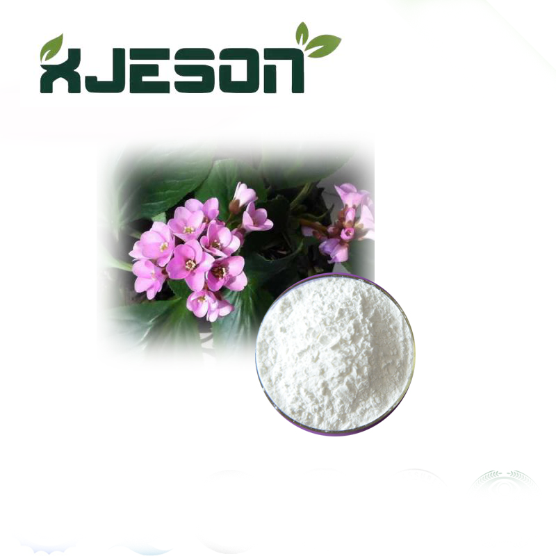 L-rhamnose di alta qualità 98% da HPLC Powder