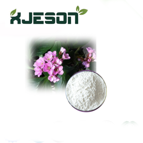 Topkwaliteit L-rhamnose 98% door HPLC Powder