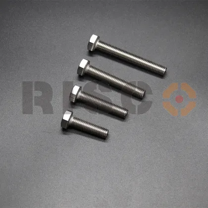 High quality SS304 hex bolt Risco