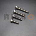 High quality SS304 hex bolt Risco