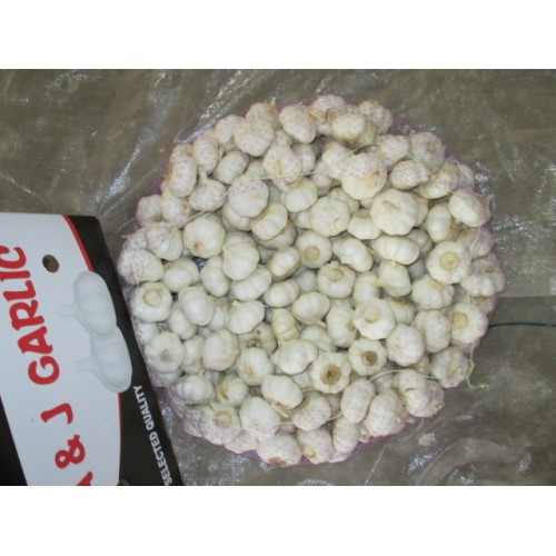 2020 Best Quality Pure White Garlic