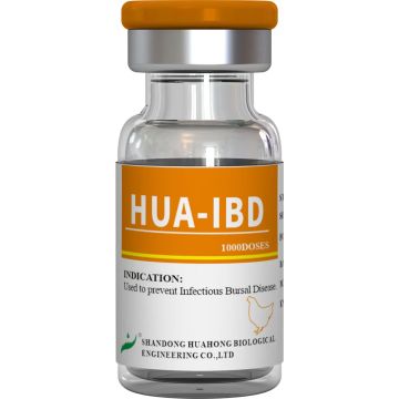Vaccin împotriva bolii infecțioase de bursă, viu (tulpina B87)