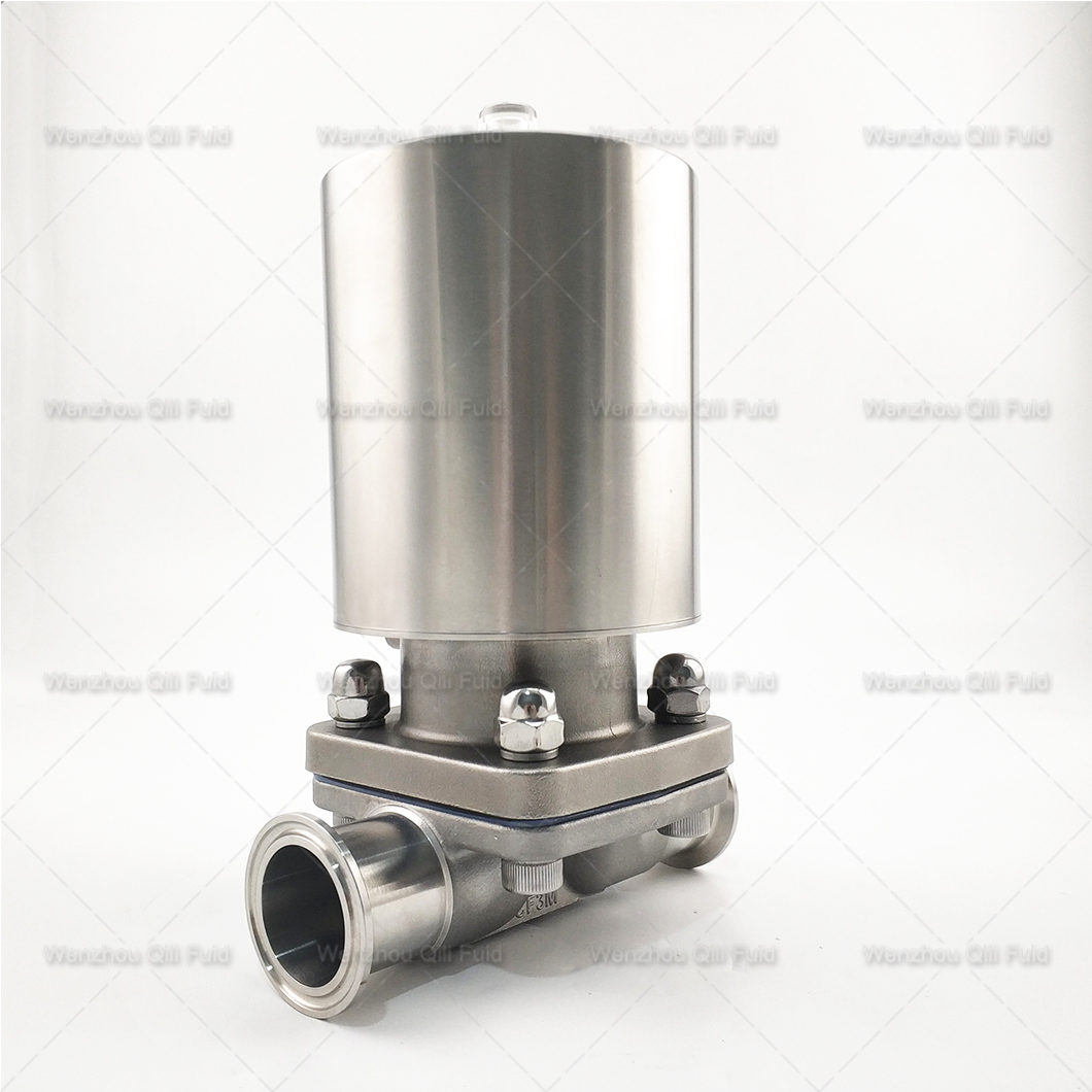 Pneumatic diaphragm valve (17)