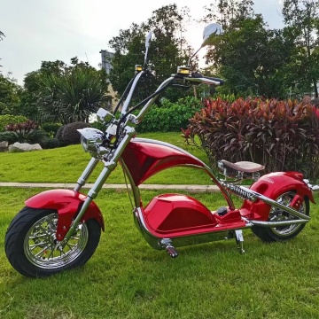Eurehouse UE/US Hangehouse Zatwierdzony przez Fat Tire CityCoco 3000W Electric Hulscy litowy akumulator litowy