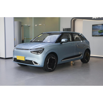 2024 Dongfeng Nami 01 Smart E Car: Ein neues Energiefahrzeugangebot