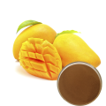 African Mango Seed Extract Irvingia Gabonensis L.Extract