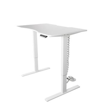 Multi-Functional Flexible Electric Standing Desk