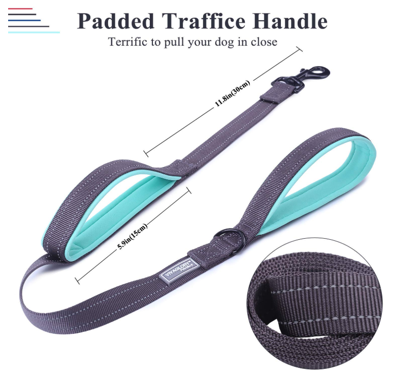 Two Handles Dog Leash