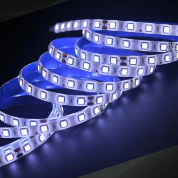 12v 60 led per meter tape waterproof IP65 IP20 5M 300leds white flexible 5050led strip light