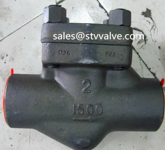 F22 Forged Steel Check Valves: API 602, Swing, Lift