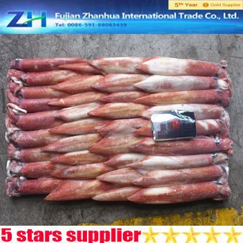 Gold supplier seafood frozen chinese loligo squid