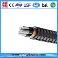 ACSR Wolf 150mm2 Cable de alta tensión Bs215 Bare Conductor