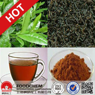Pure Natural Black Tea Extract