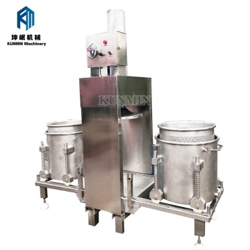 Topefficiëntie industriële sinaasappelsjapmachines