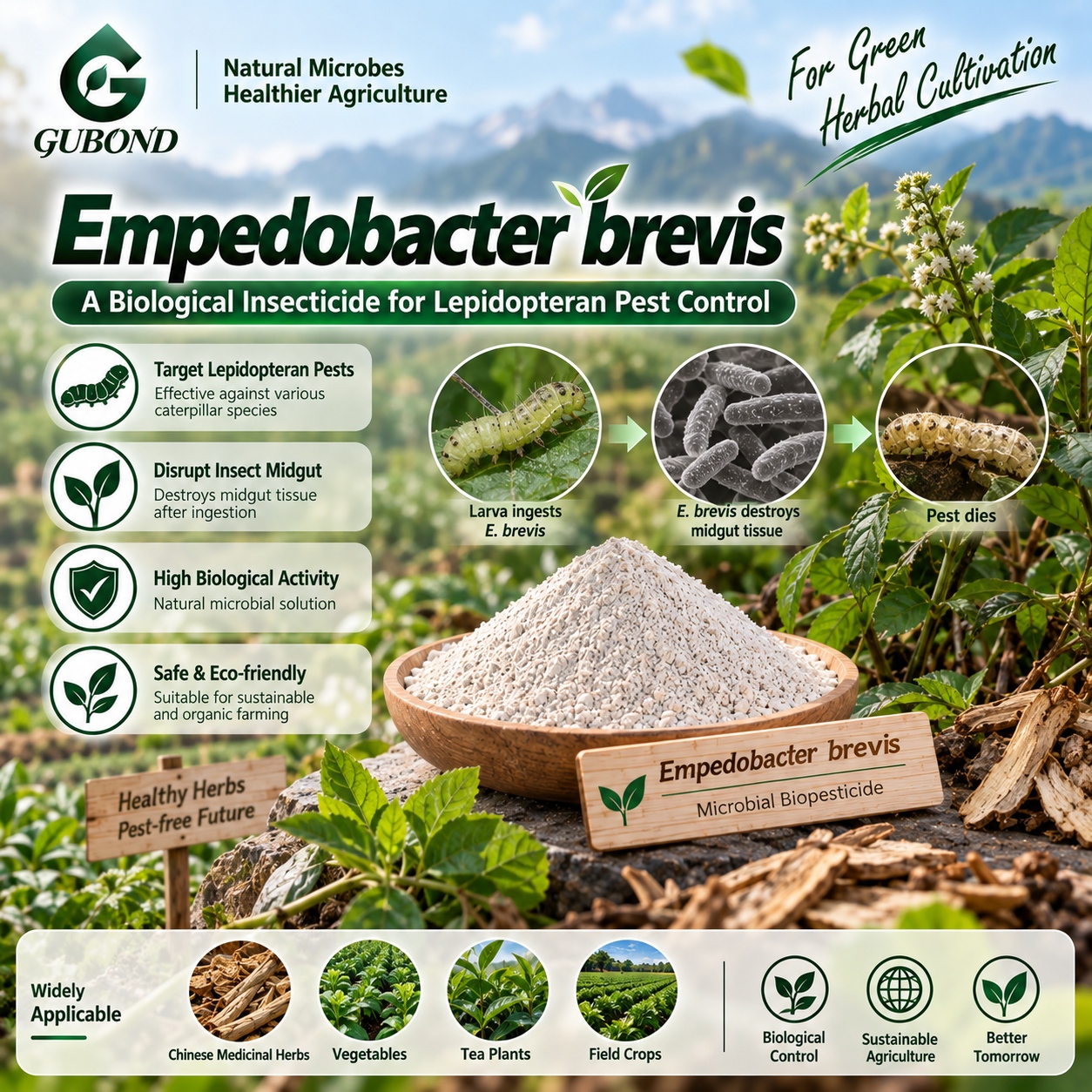 Empedobacter brevis