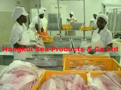 Nile Perch fish fillets