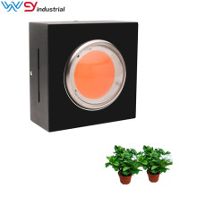 Cob Greenhouse indoor full spectrum grow light