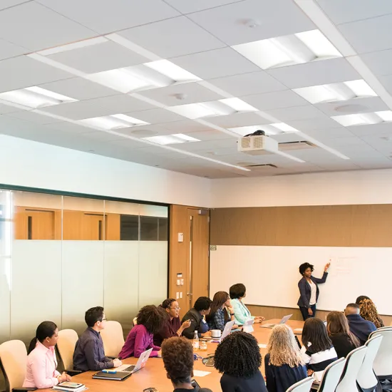 Modern Customizable 40W Slim Recessed LED Panel Light with Flexible Diffuser