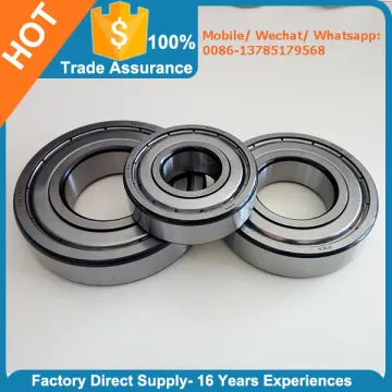 6005-2RS 6005-ZZ Radial Ball Bearing