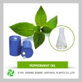 Hot Selling 100% pure Peppermint oil