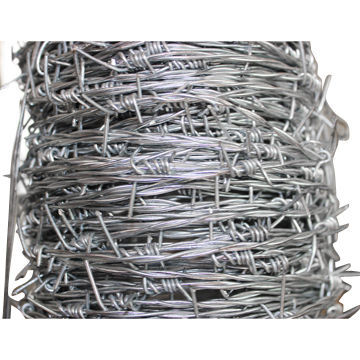 Barbed wire with double strand