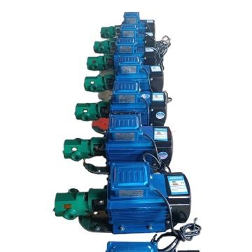 Mini SS304/SS316 Sanitary Grade Edible Oil Gear Pump - 30-100 Liters/Minute