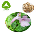 Ingredientes Radix Isatidis Extract Powder 10: 1