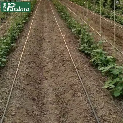 Agriculture Drip Irrigation Systems for Garden Hose Irrigation, Watering, and Irrigation