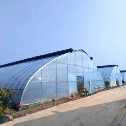 White protective plastic film for garden