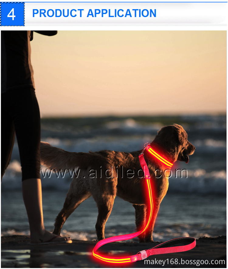 Best Led Dog Leash