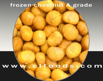 IQF food (roasted chestnut)