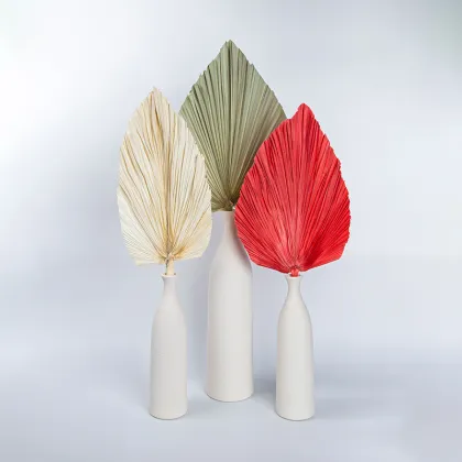 2022 Popular Tropical Dried Palm Leaves for Wedding Decorations