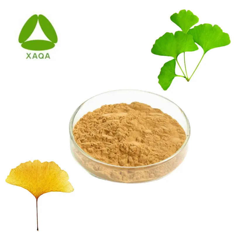 Ginkgo Biloba Leaf Extract