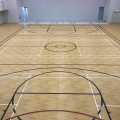 PVC Vinyl 6mm Spessore Basketball Court Pavone